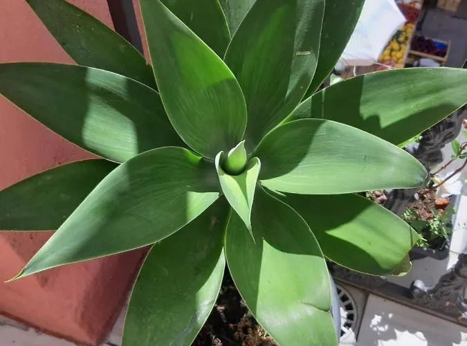 Il Diamante Bed & Breakfast Crotone