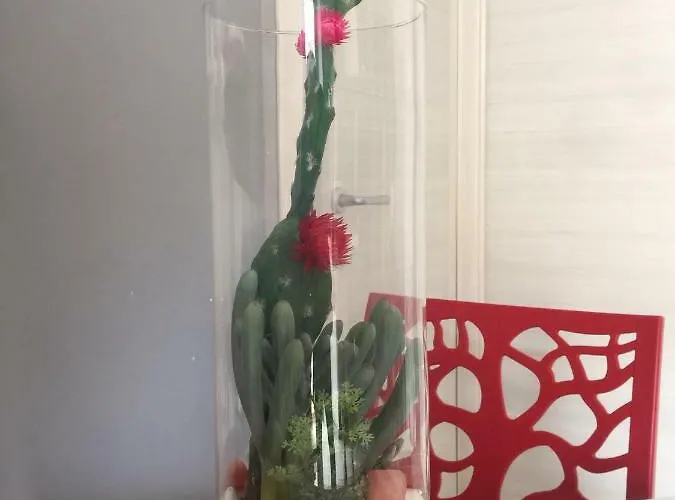 Bed & Breakfast Il Diamante Crotone